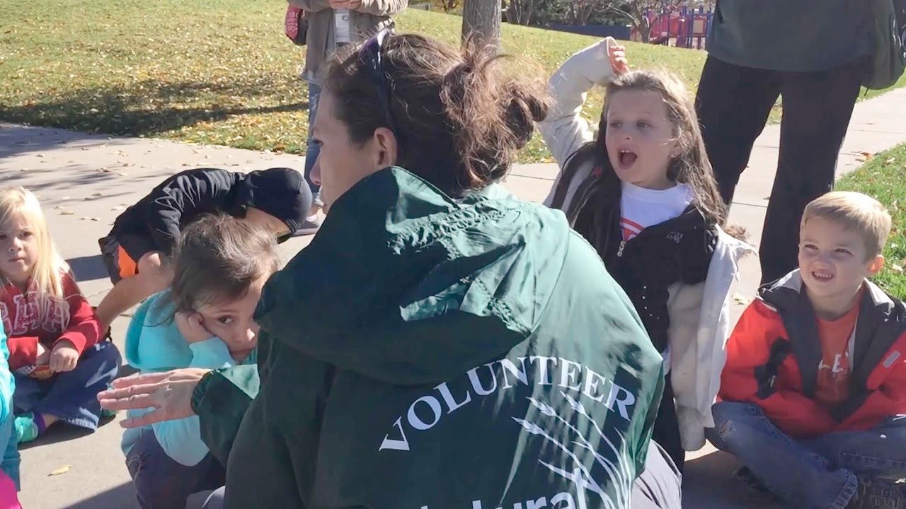 Out of the Box - Volunteers
