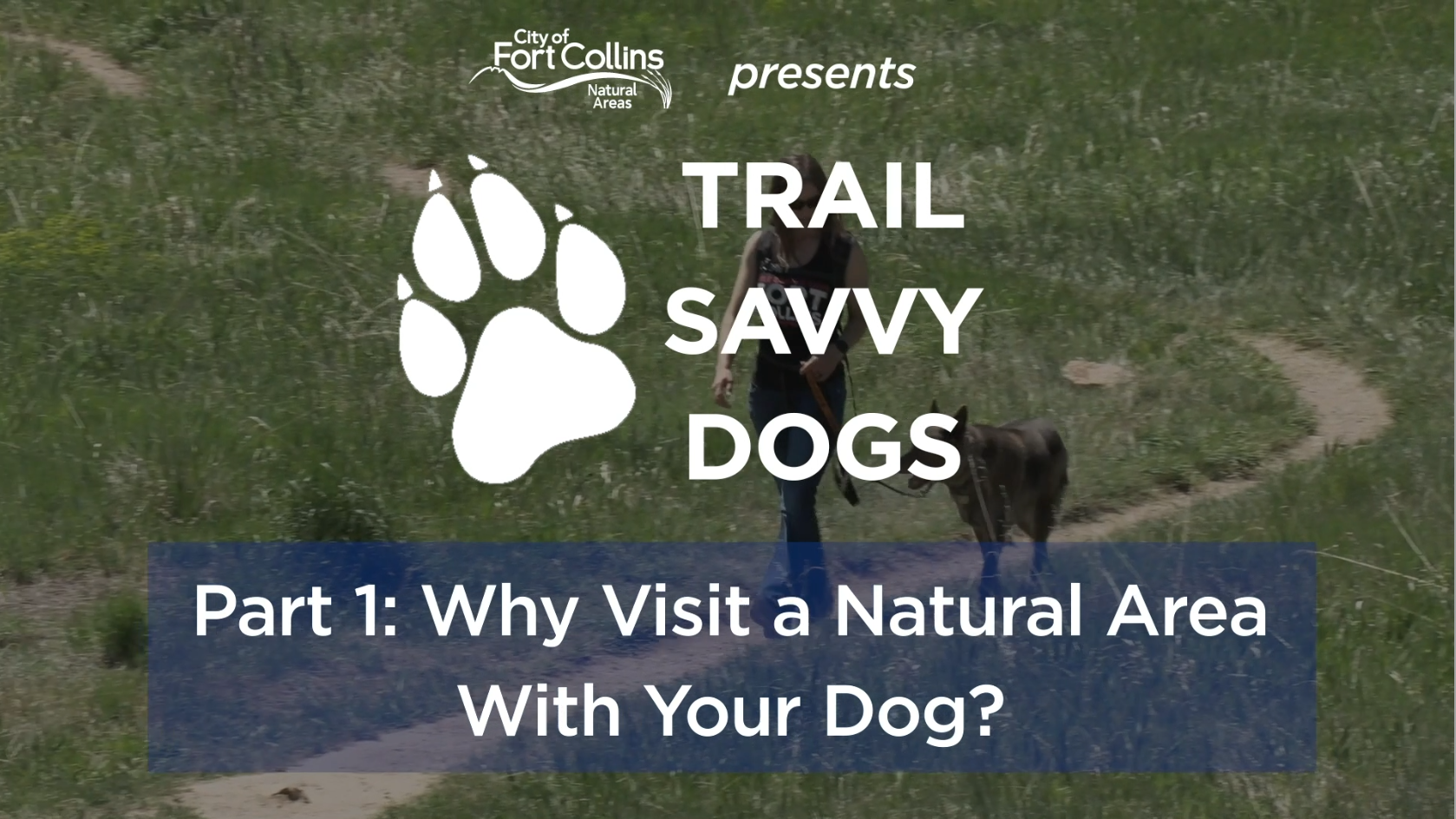 Trail Savvy Dogs - Part 1: Why Visit
