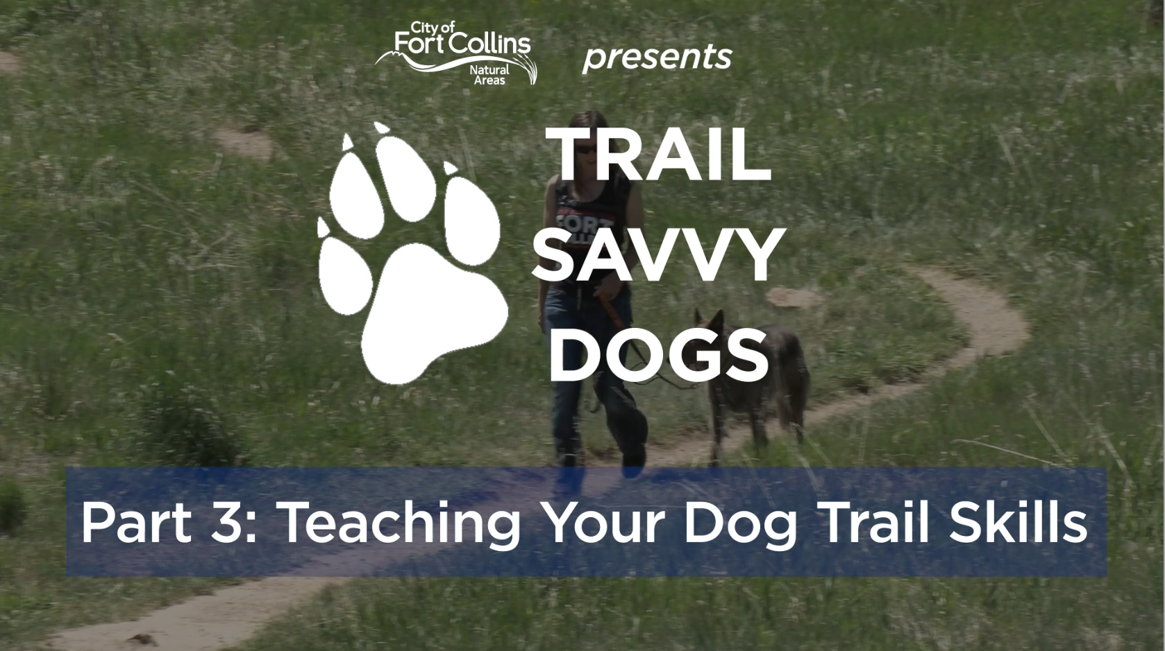Trail Savvy Dogs - Part 3: Trail Skills