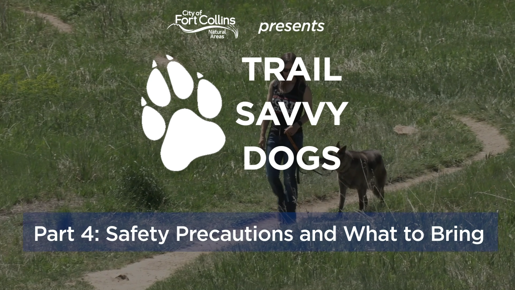 Trail Savvy Dogs - Part 4: Safety on Trail