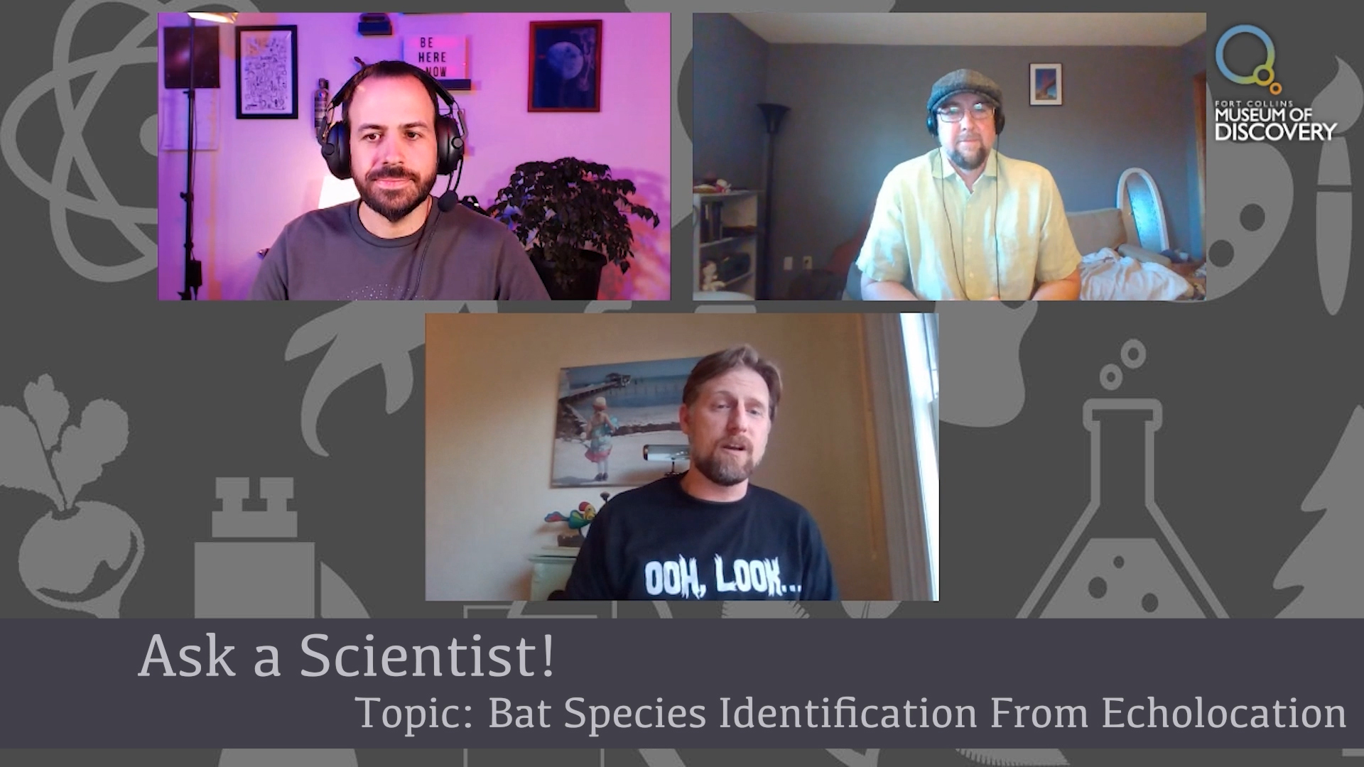 Ask A Scientist - Bats