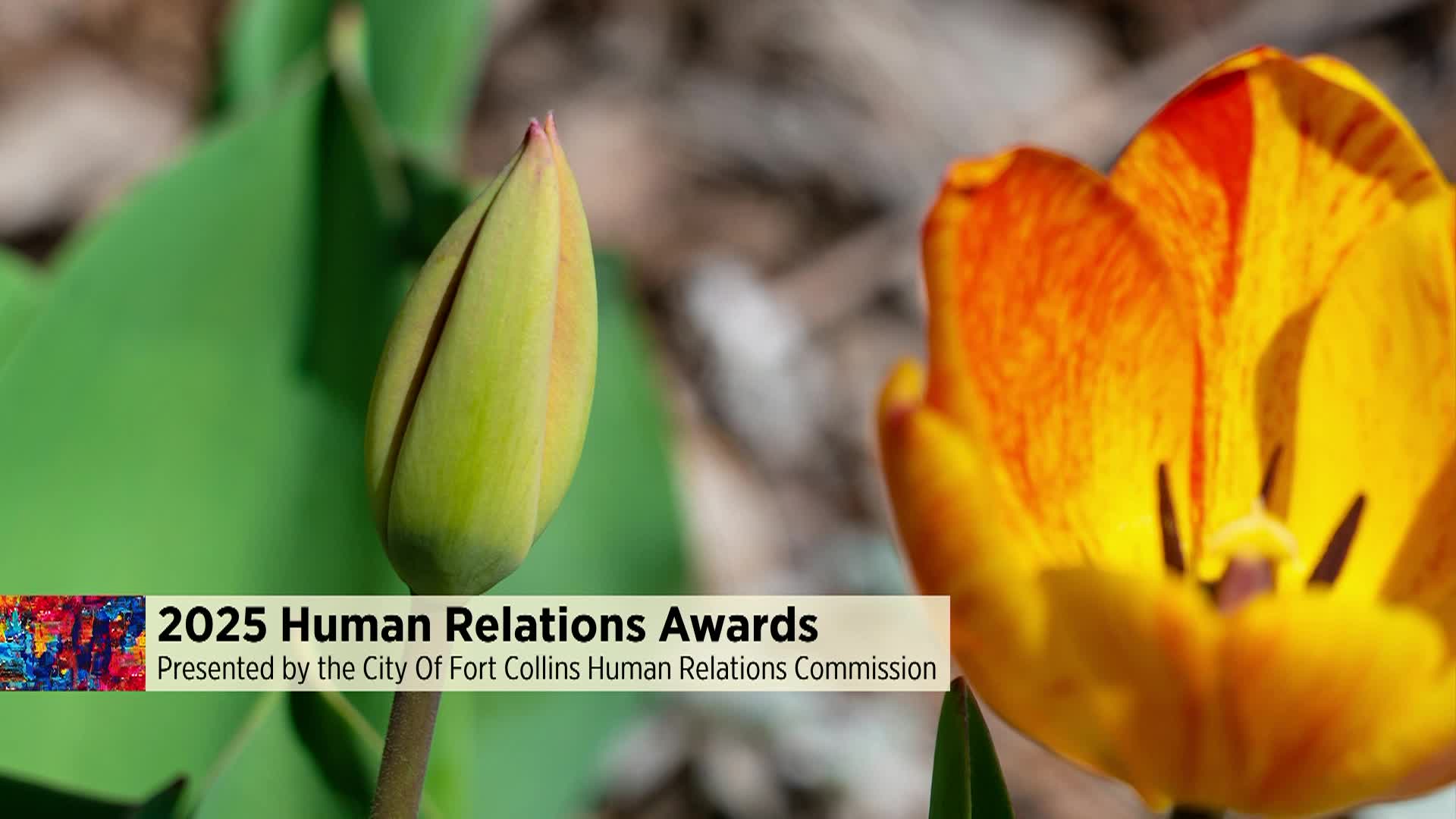 2025 Human Relations Commisison Awards Ceremony